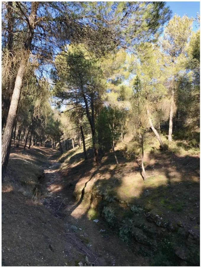 דירות לה זוביה Zubicalm מראה חיצוני תמונה